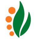 SSP Seeds
